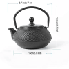 HAWOK Cast Iron Teapot with Stainless Steel Infuser (600ml/20oz)