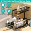 Portable Kitchen Storage Shelf for Seasonings
